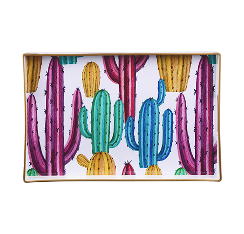 111 Cactus tray - Plateau 30x46cm